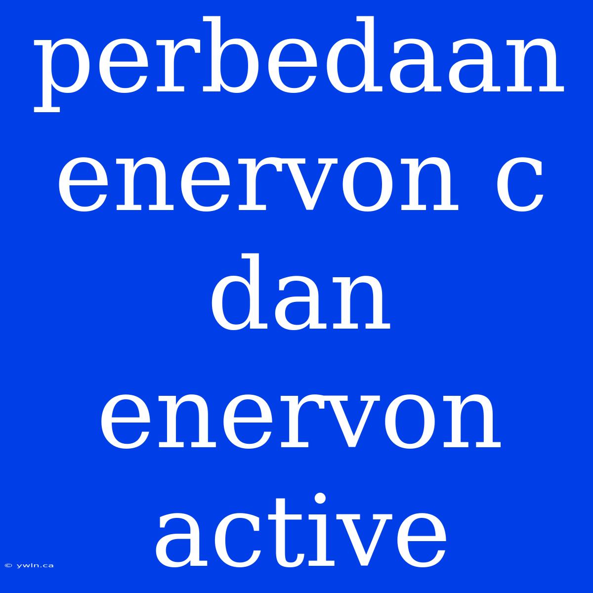 Perbedaan Enervon C Dan Enervon Active