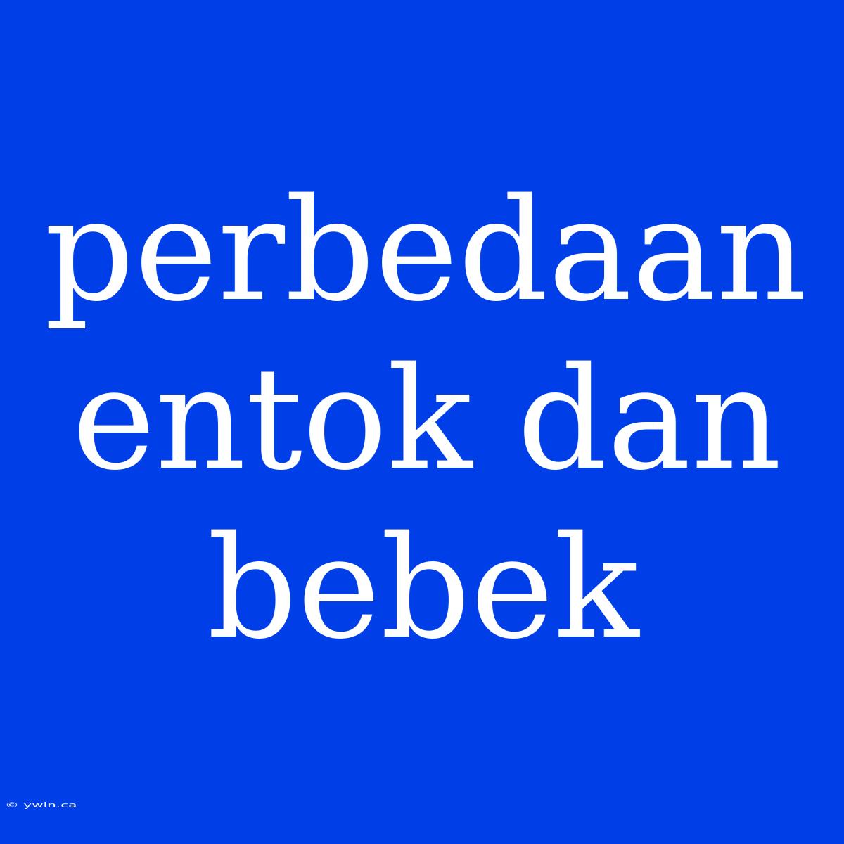 Perbedaan Entok Dan Bebek