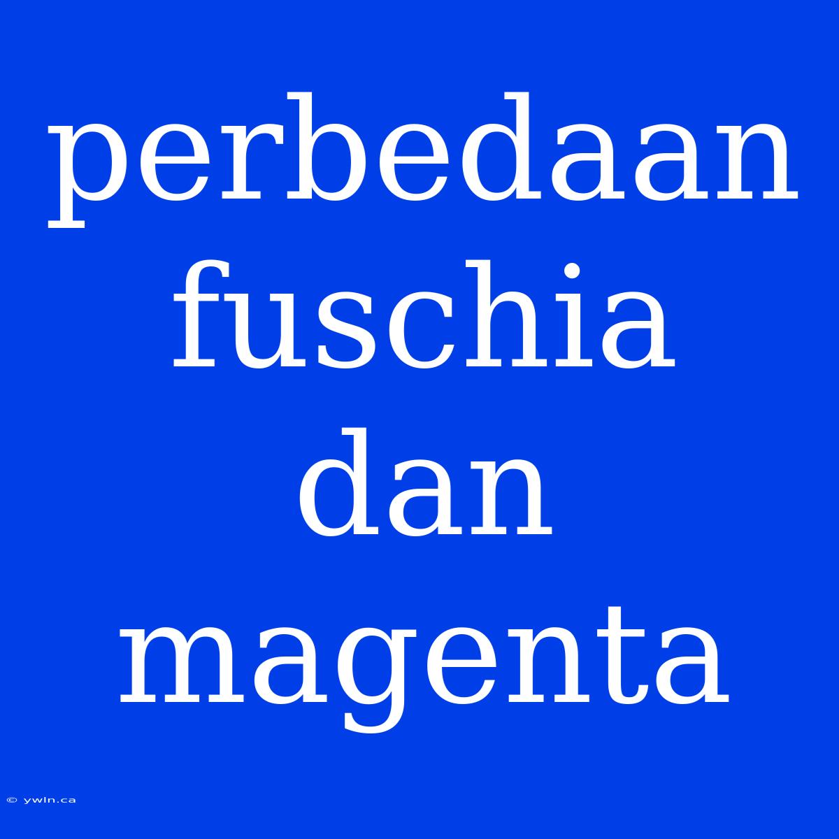 Perbedaan Fuschia Dan Magenta