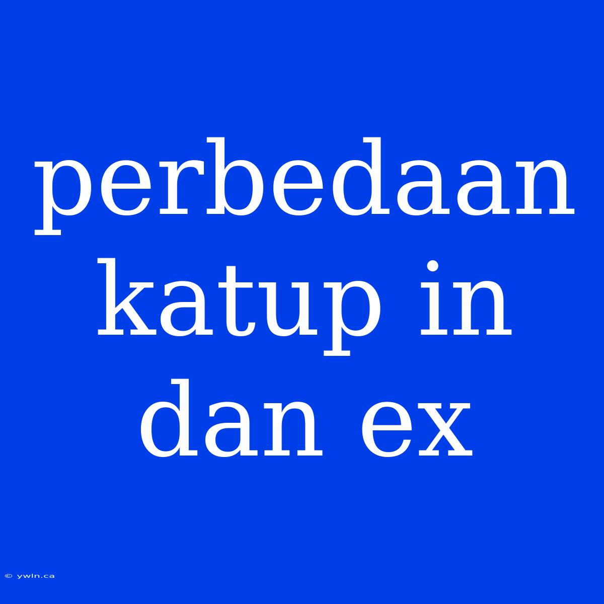 Perbedaan Katup In Dan Ex