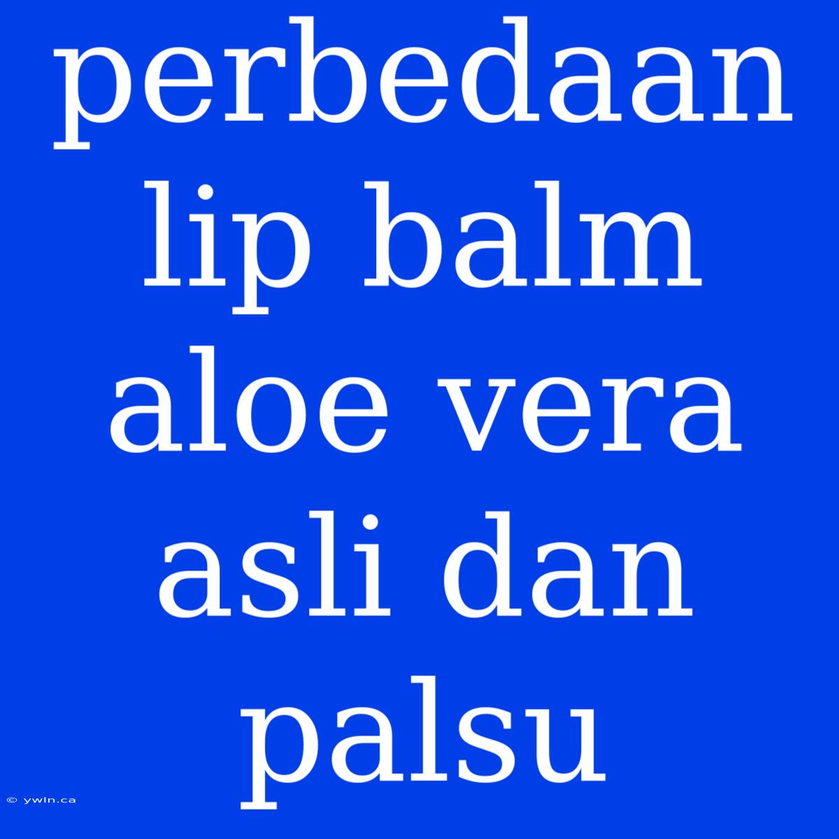 Perbedaan Lip Balm Aloe Vera Asli Dan Palsu