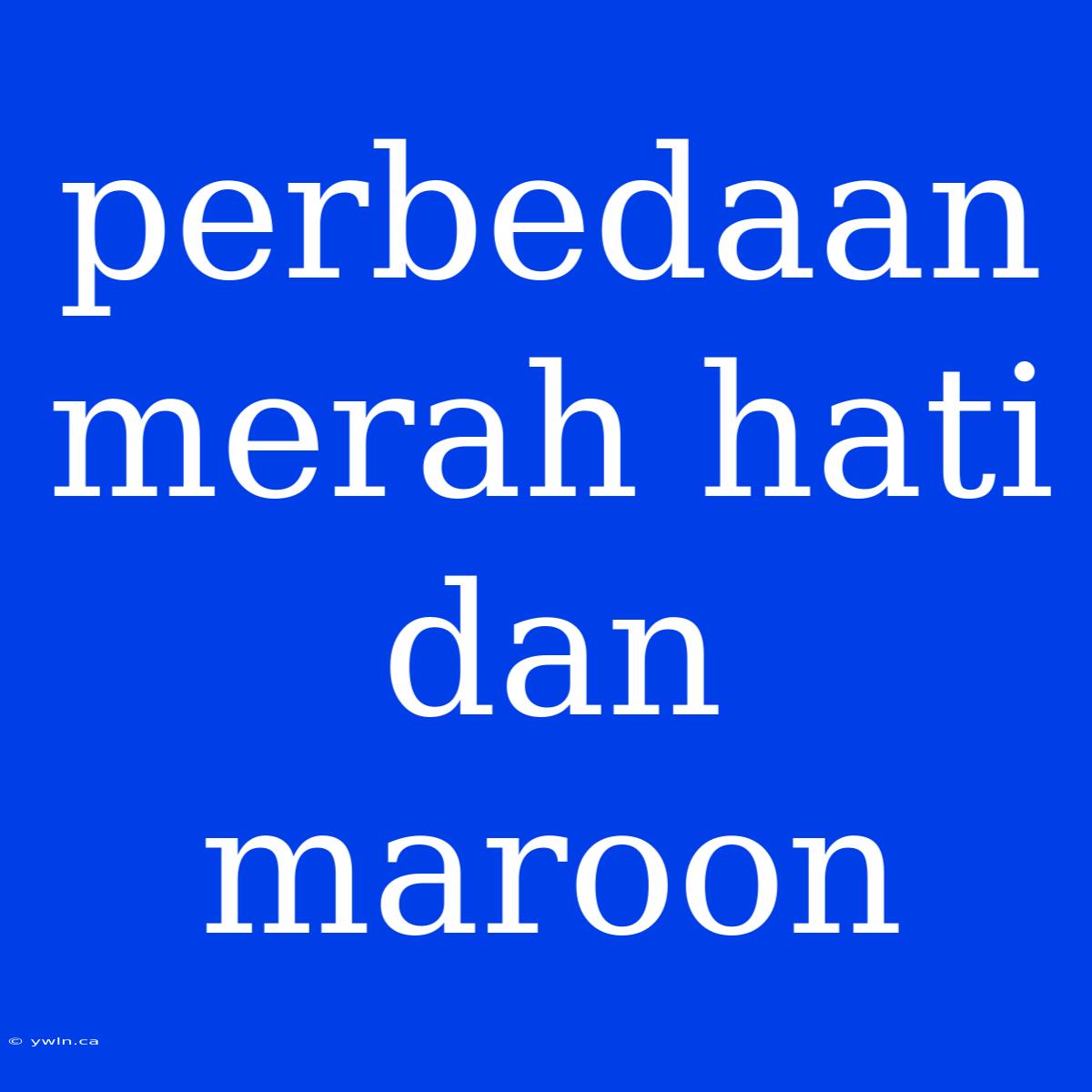 Perbedaan Merah Hati Dan Maroon