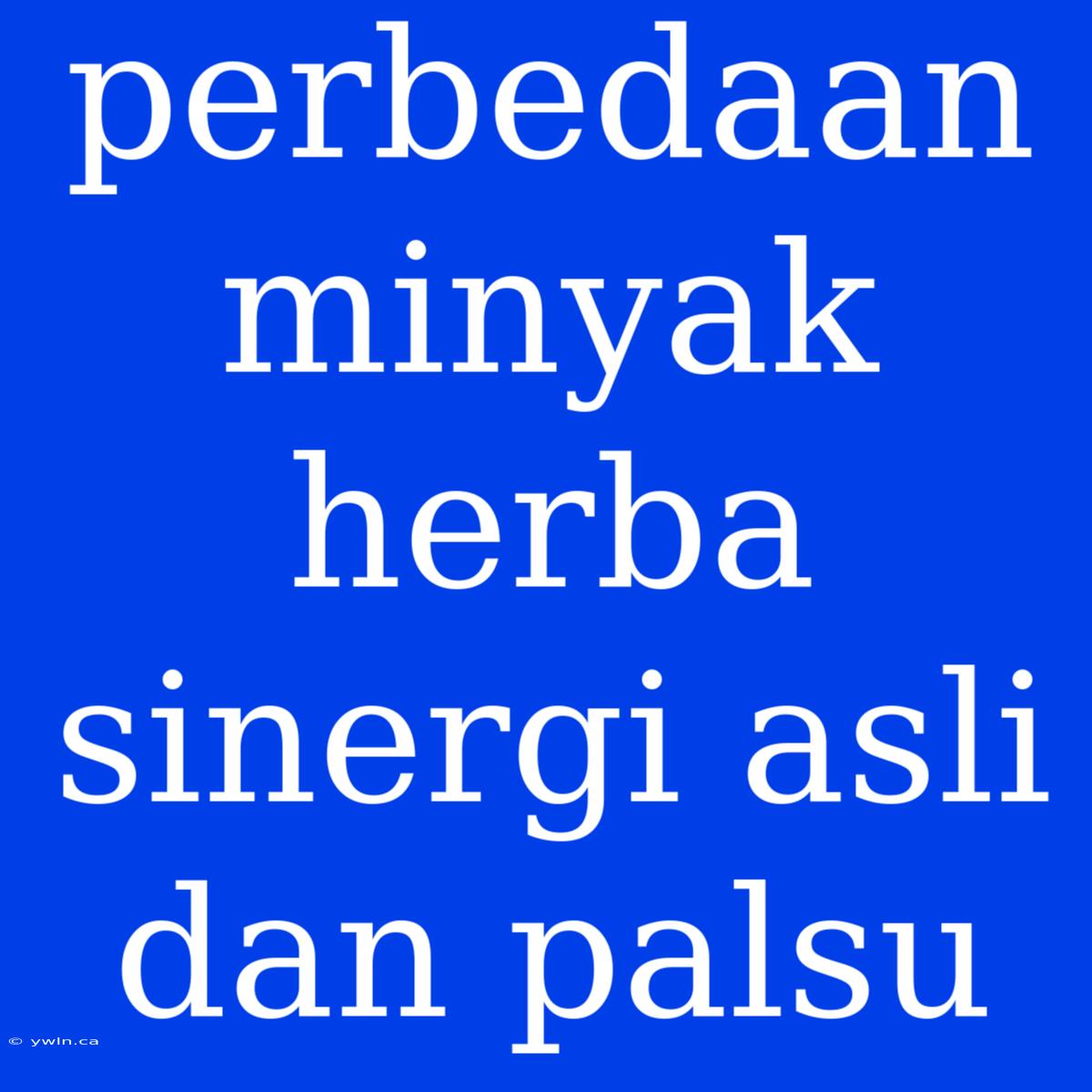 Perbedaan Minyak Herba Sinergi Asli Dan Palsu