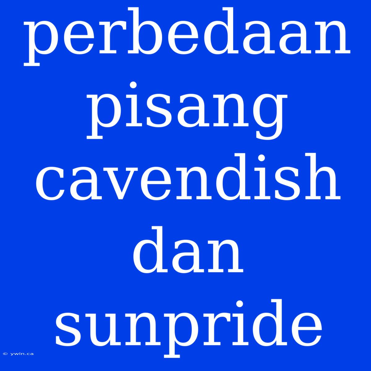 Perbedaan Pisang Cavendish Dan Sunpride