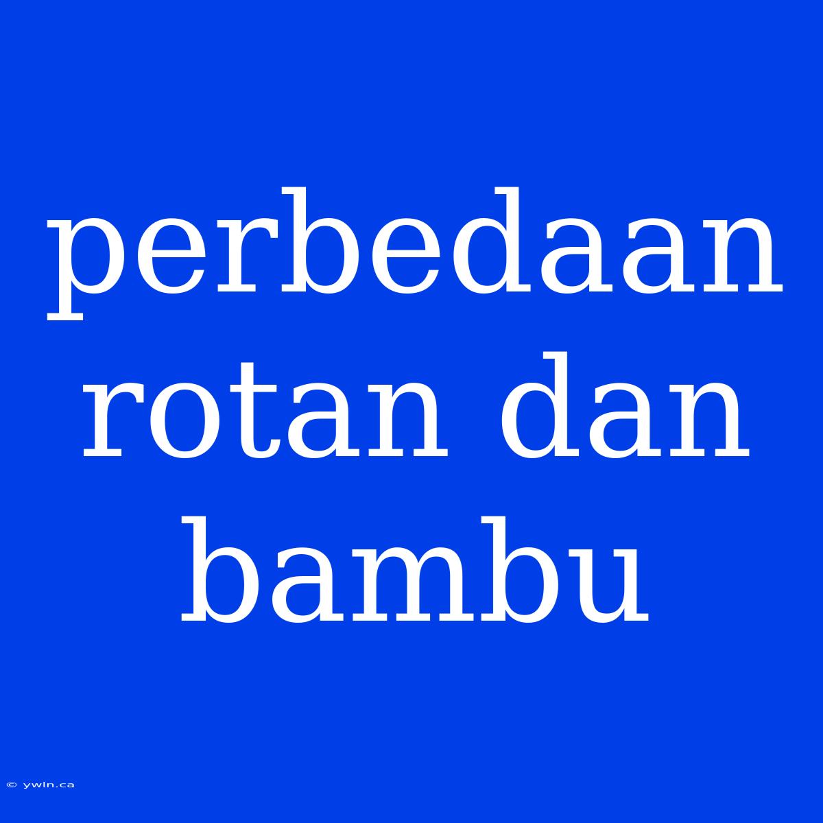 Perbedaan Rotan Dan Bambu