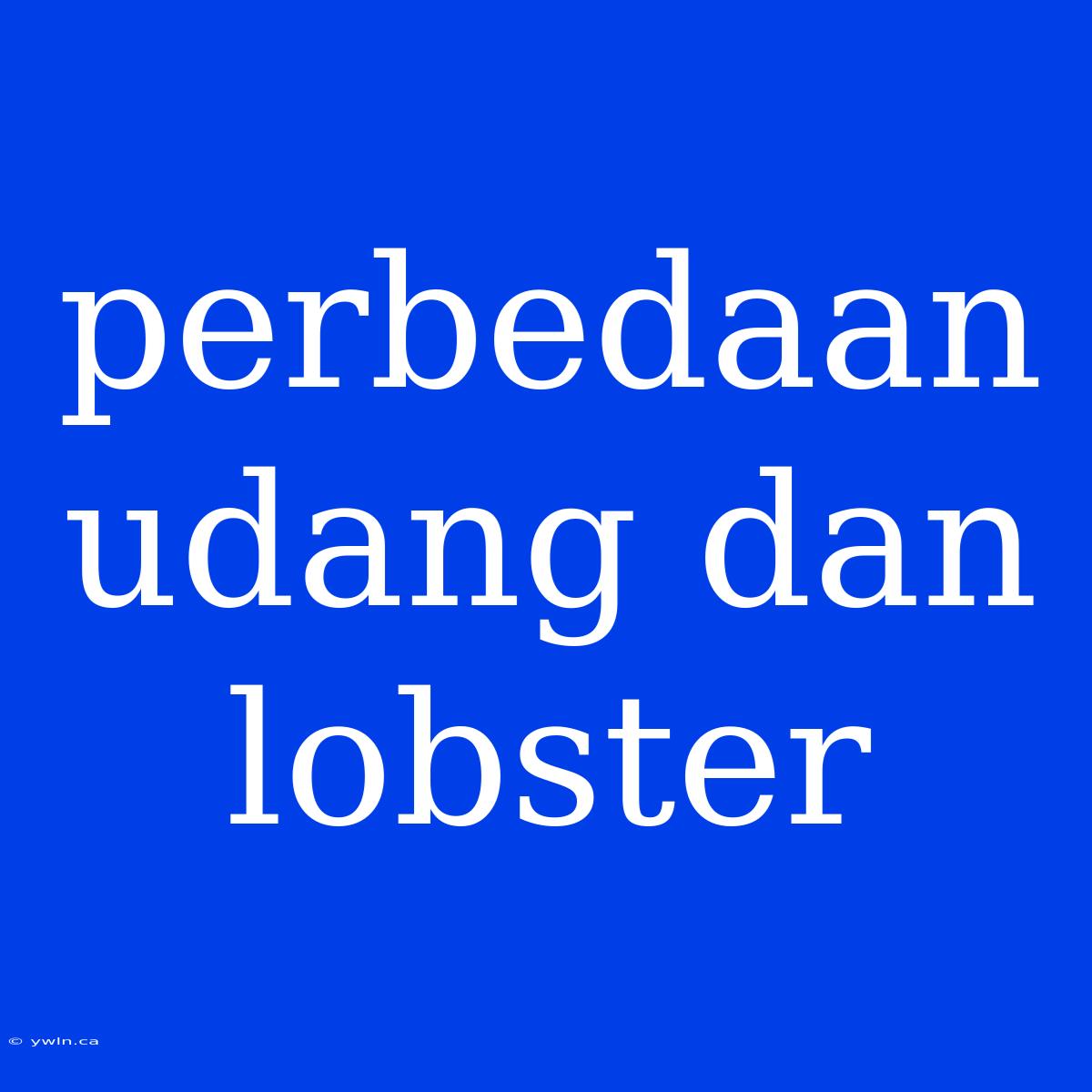 Perbedaan Udang Dan Lobster