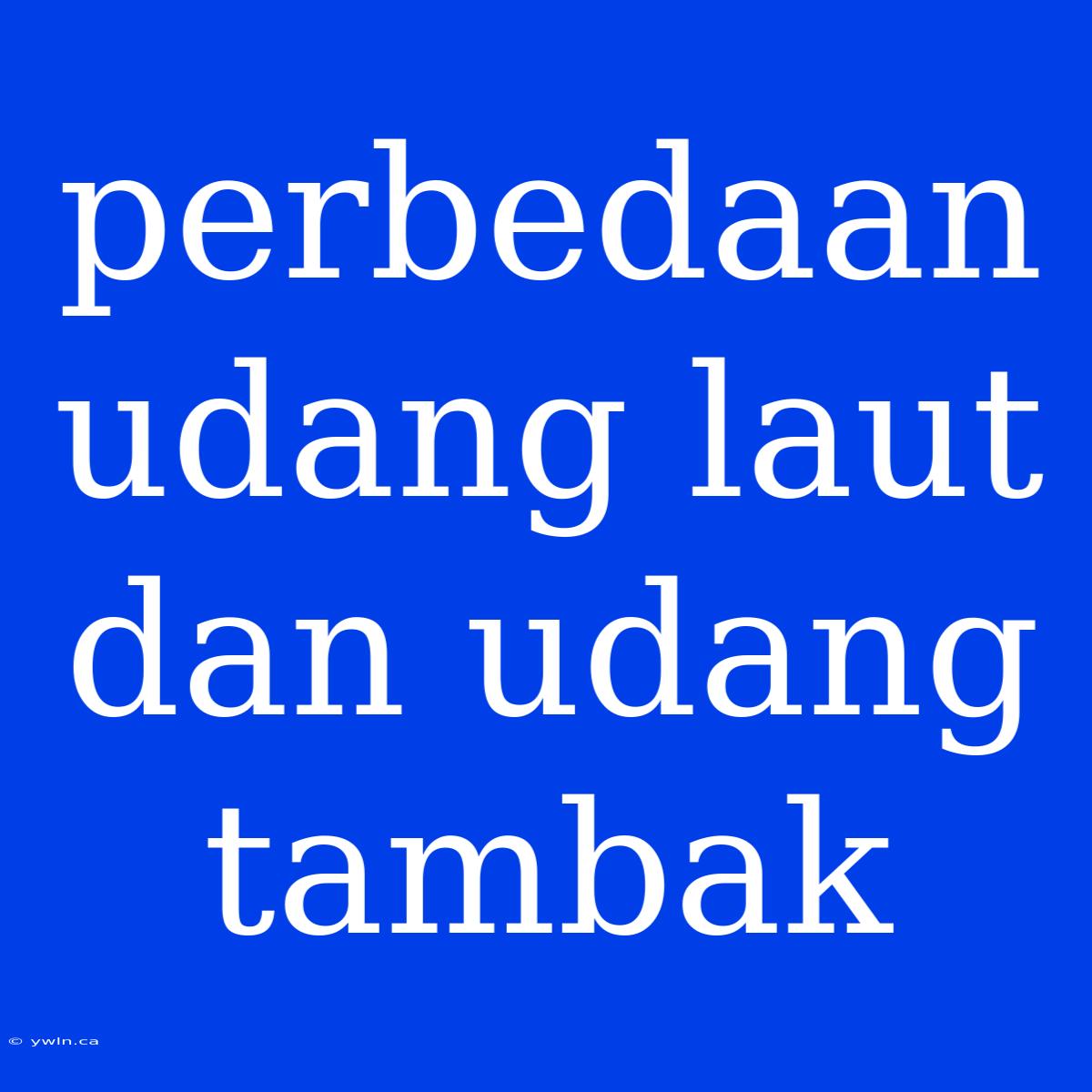 Perbedaan Udang Laut Dan Udang Tambak