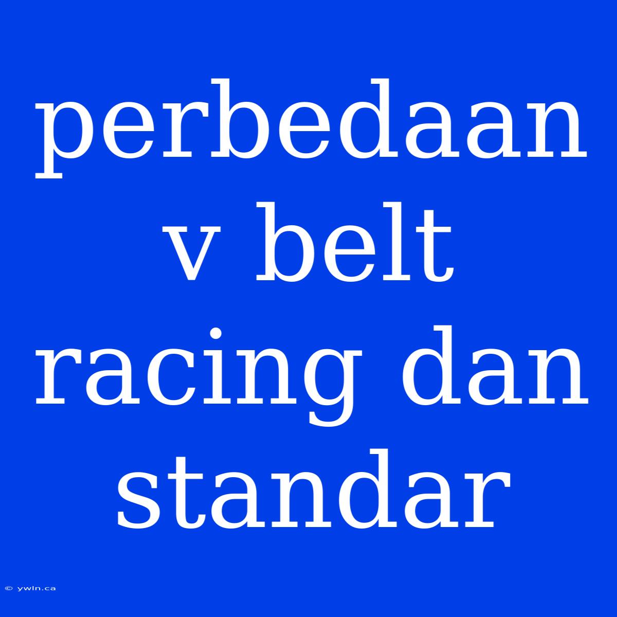 Perbedaan V Belt Racing Dan Standar