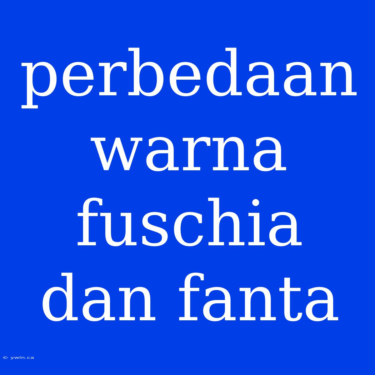 Perbedaan Warna Fuschia Dan Fanta