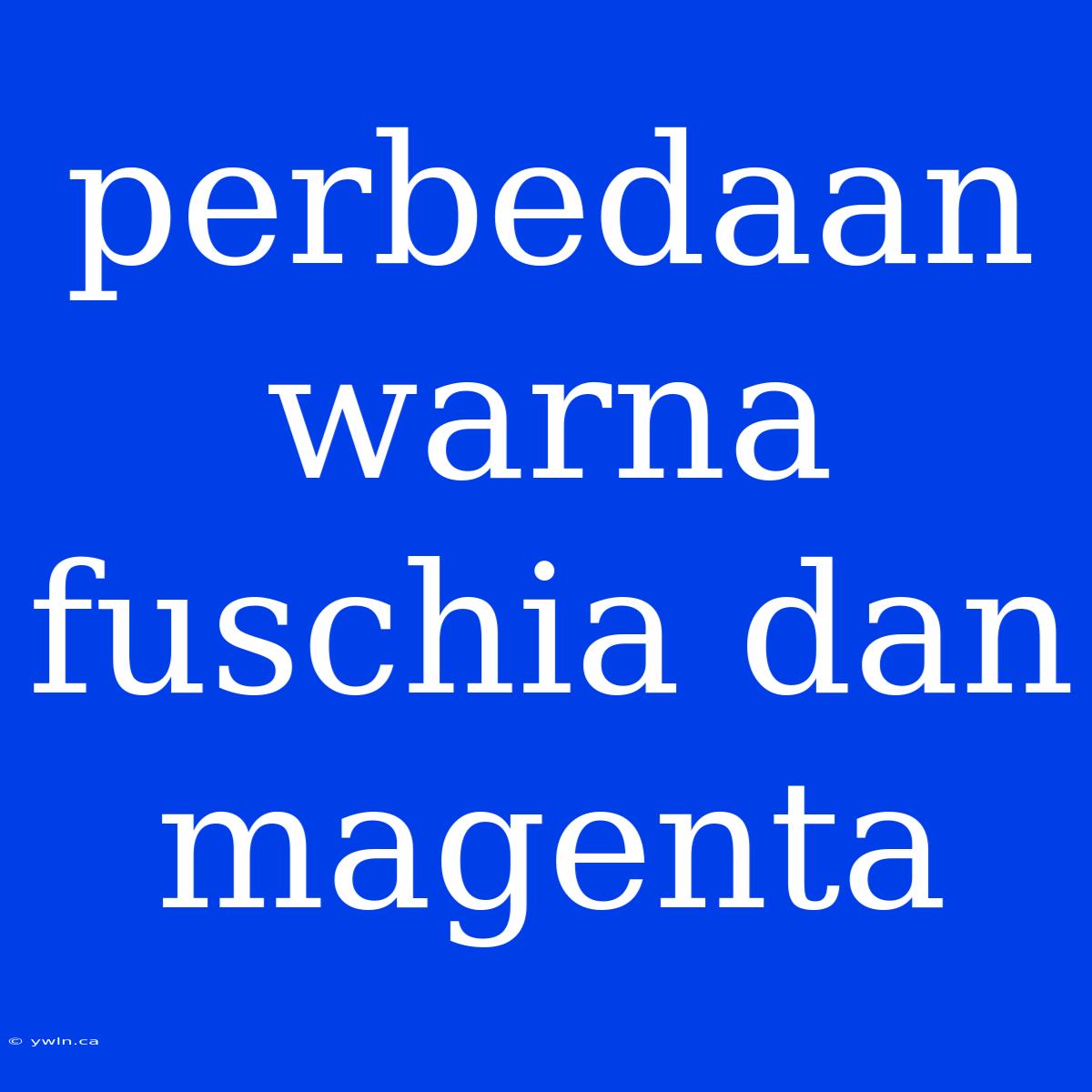 Perbedaan Warna Fuschia Dan Magenta