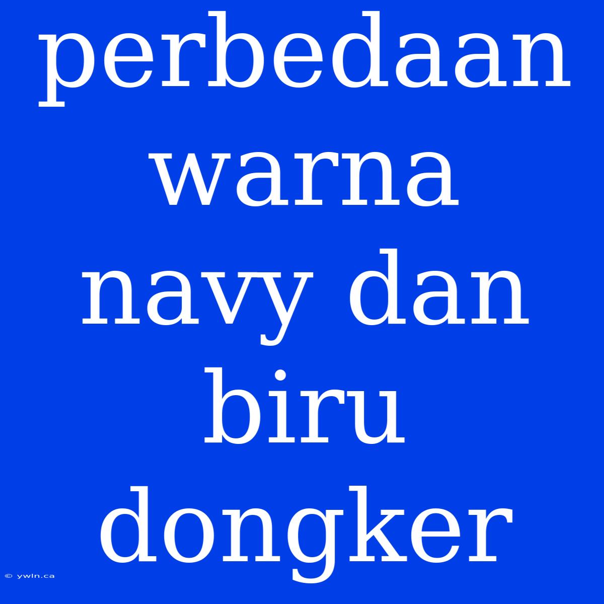 Perbedaan Warna Navy Dan Biru Dongker