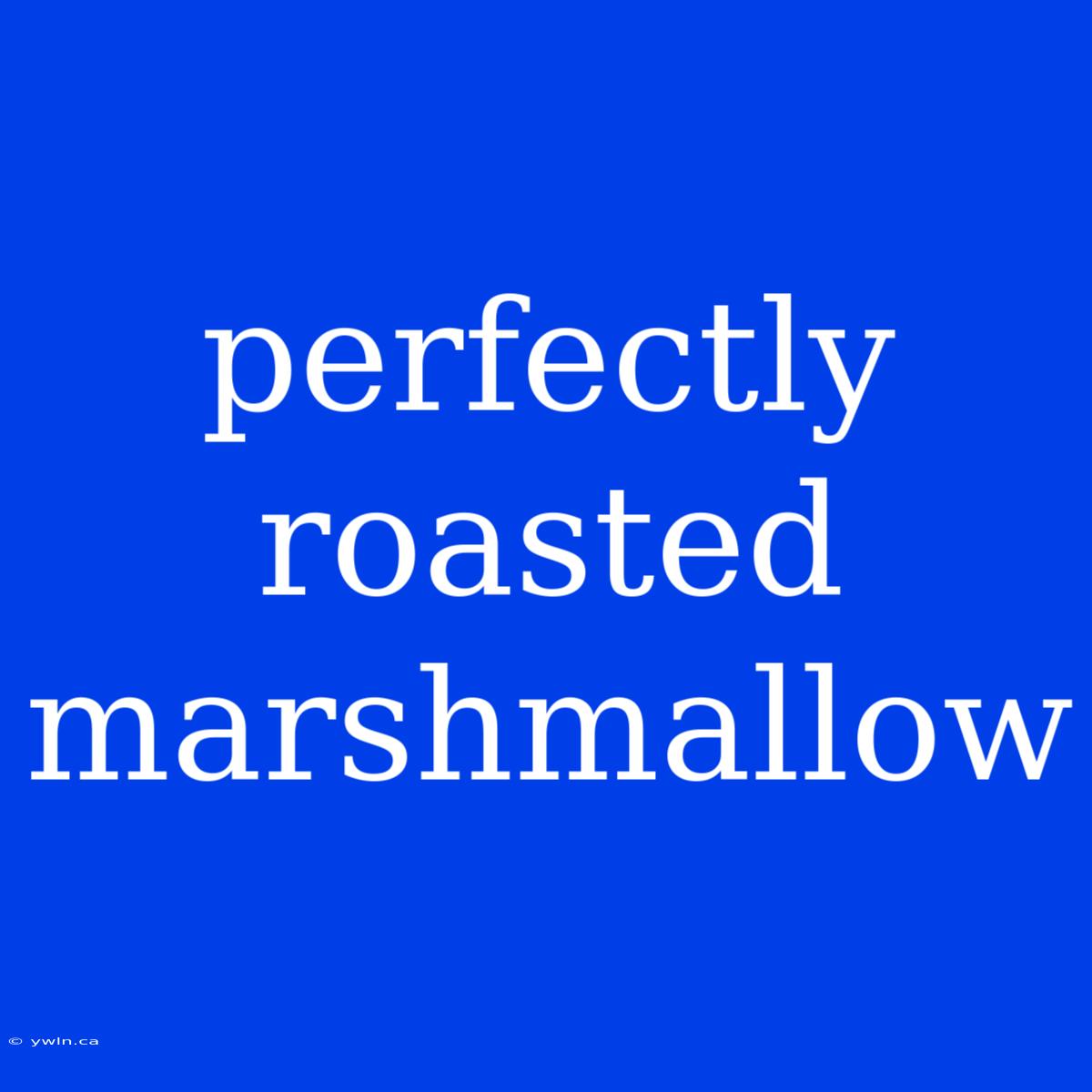 Perfectly Roasted Marshmallow