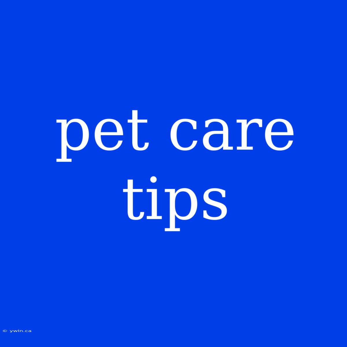 Pet Care Tips