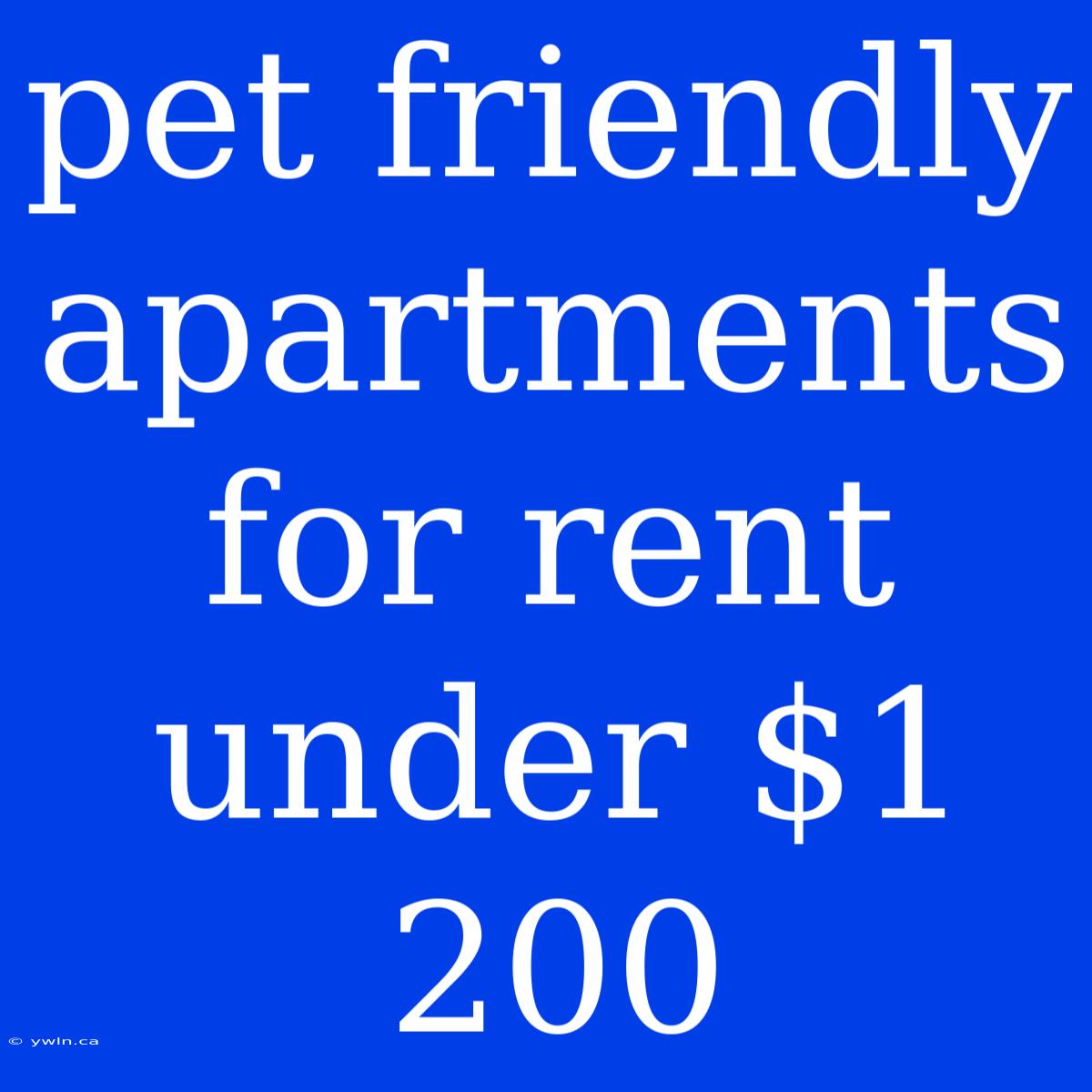 Pet Friendly Apartments For Rent Under $1 200