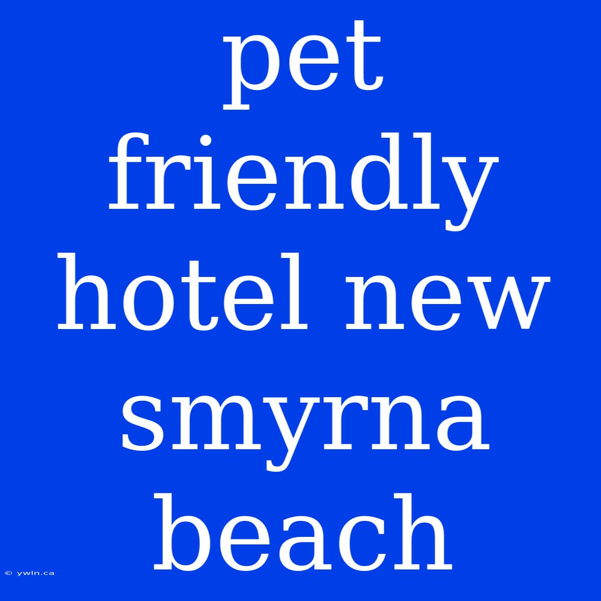 Pet Friendly Hotel New Smyrna Beach