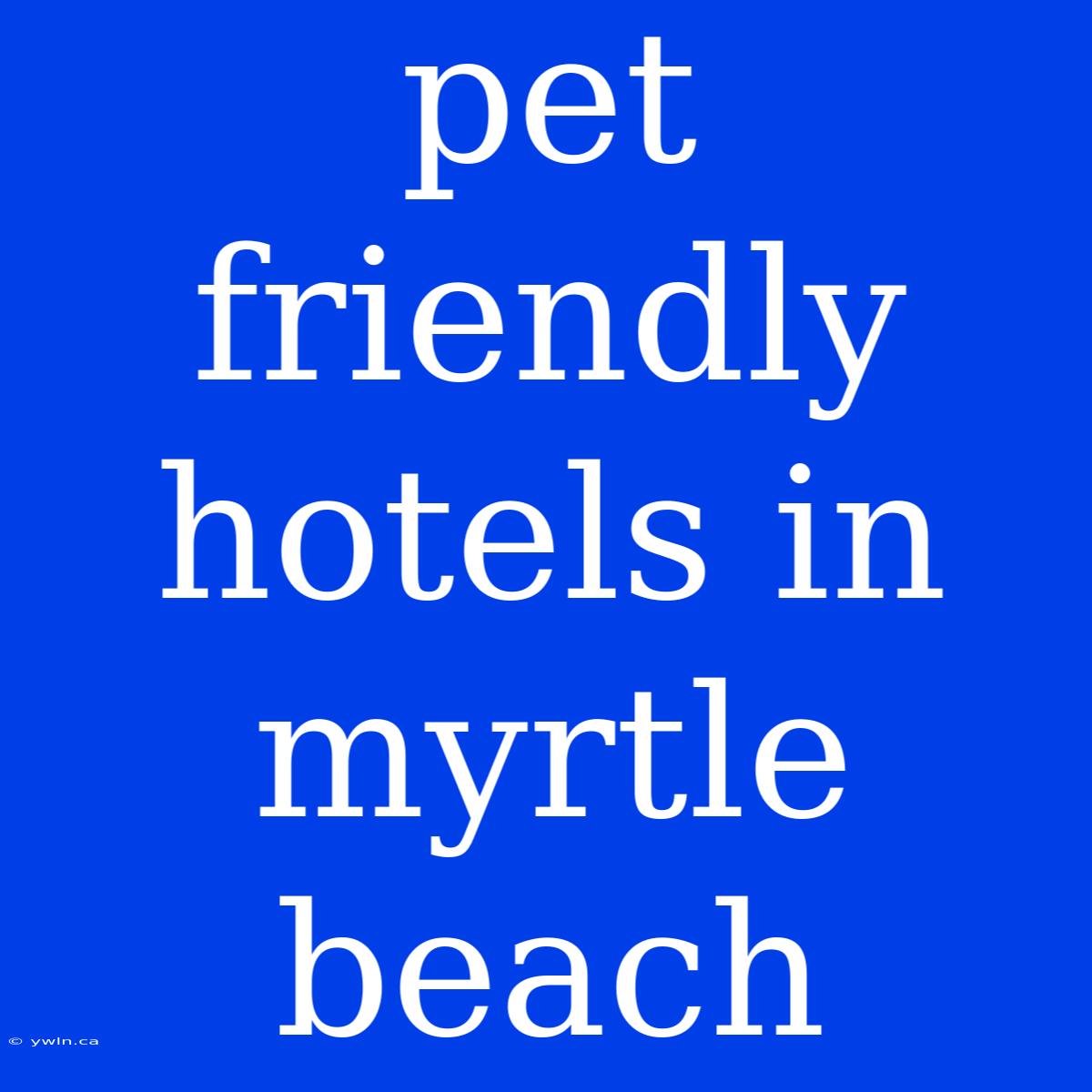 Pet Friendly Hotels In Myrtle Beach