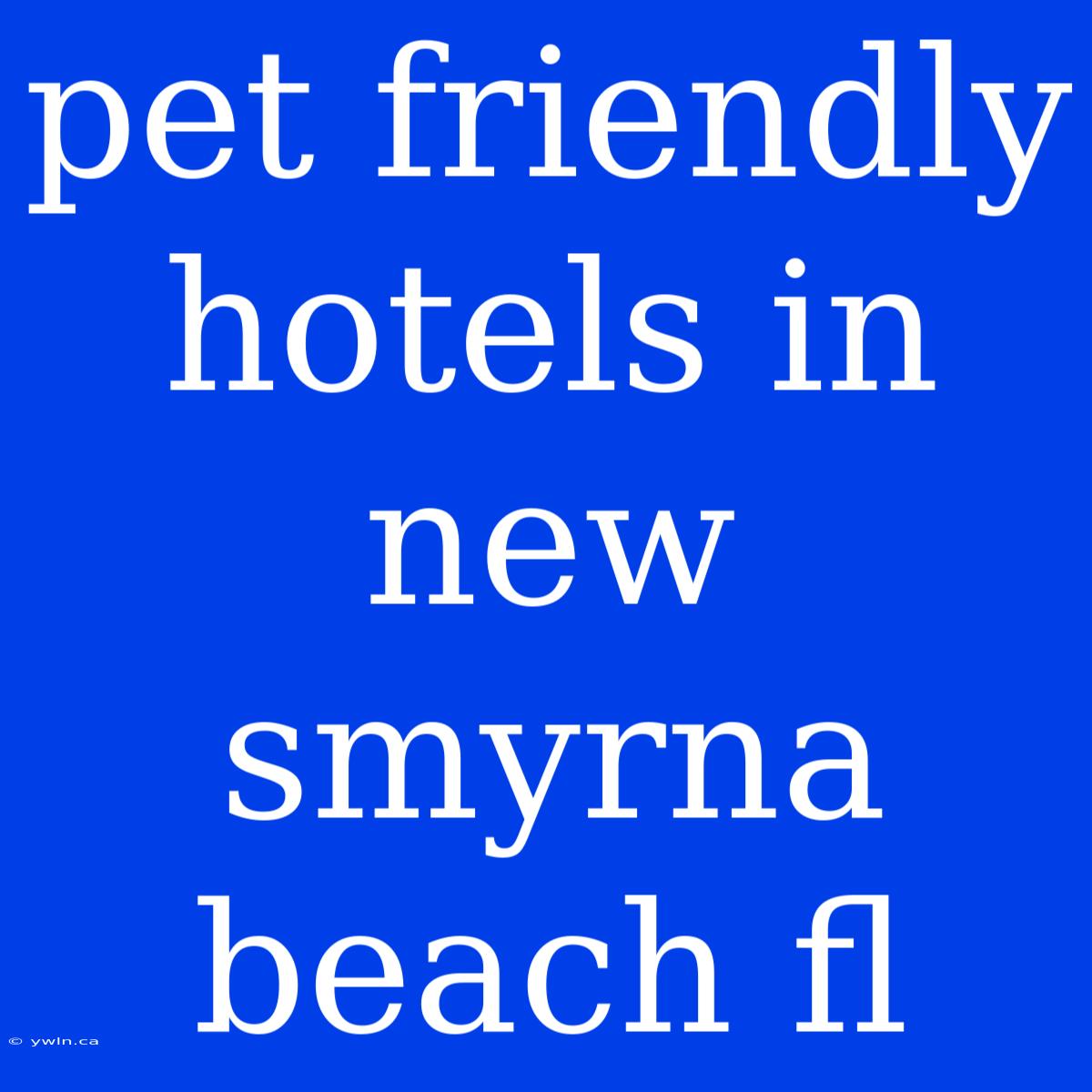 Pet Friendly Hotels In New Smyrna Beach Fl