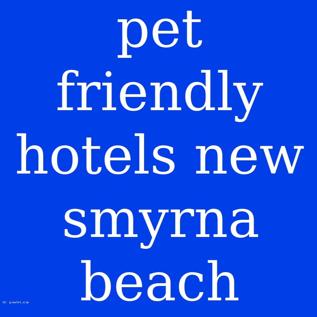 Pet Friendly Hotels New Smyrna Beach