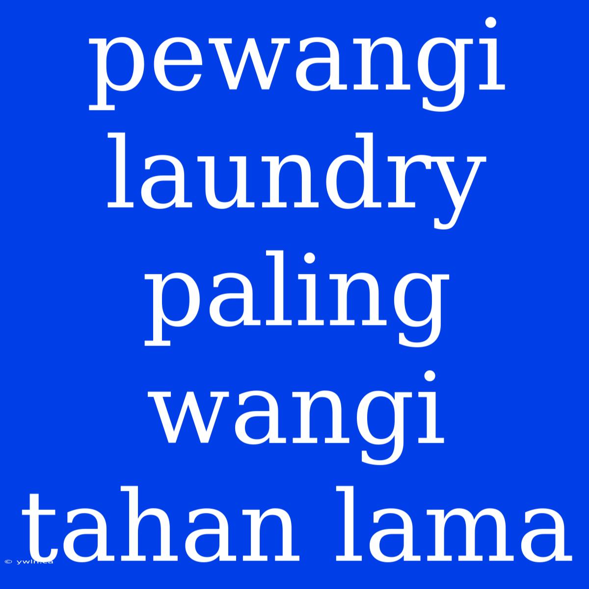 Pewangi Laundry Paling Wangi Tahan Lama