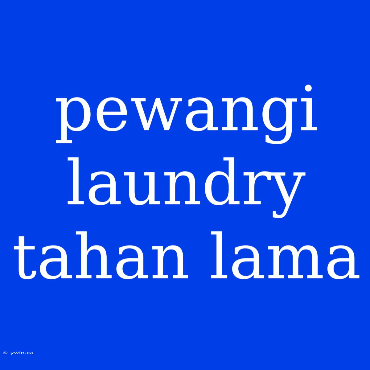 Pewangi Laundry Tahan Lama