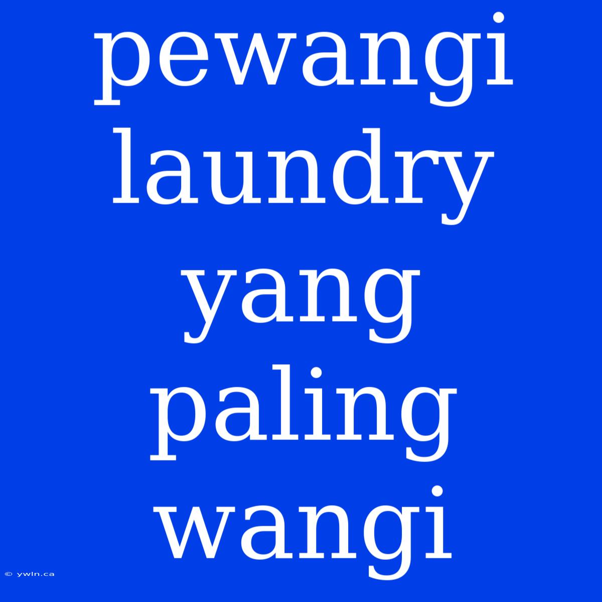 Pewangi Laundry Yang Paling Wangi