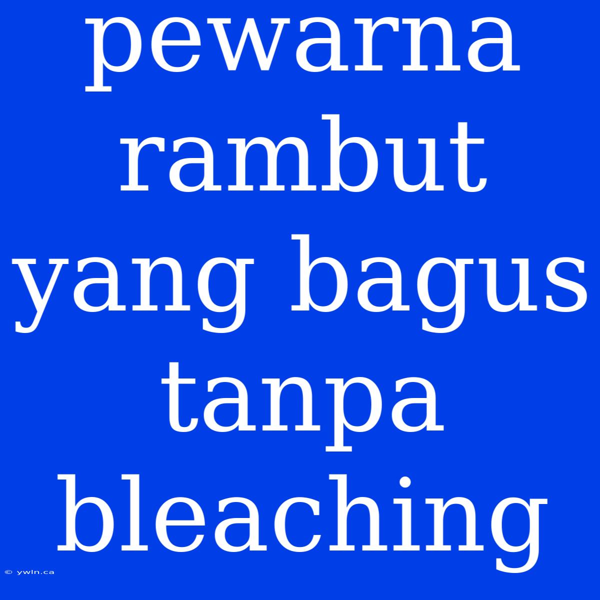 Pewarna Rambut Yang Bagus Tanpa Bleaching