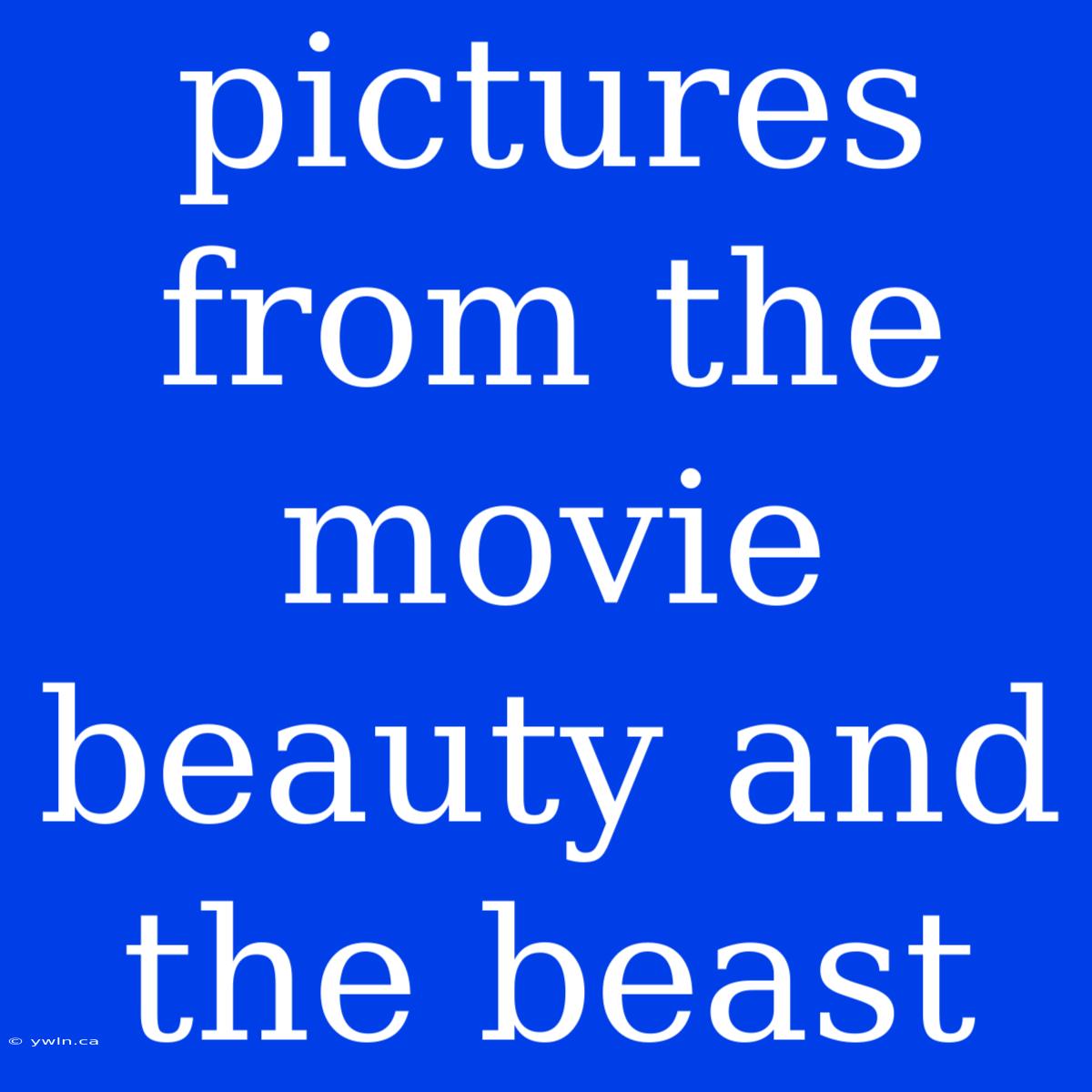 Pictures From The Movie Beauty And The Beast