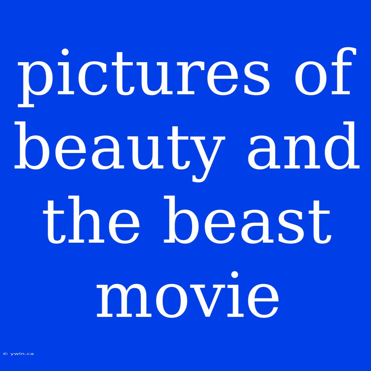 Pictures Of Beauty And The Beast Movie