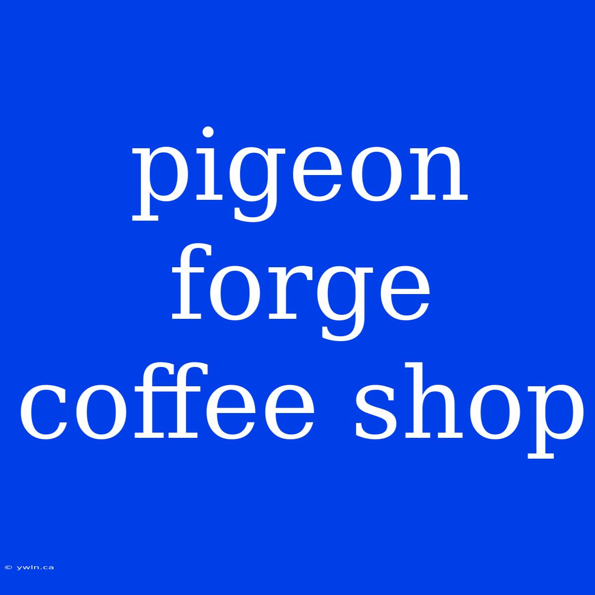 Pigeon Forge Coffee Shop