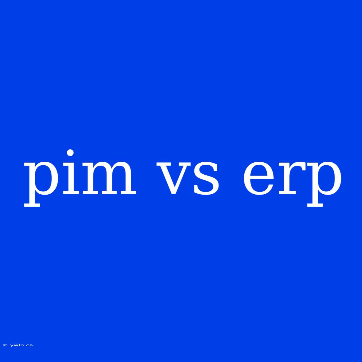 Pim Vs Erp