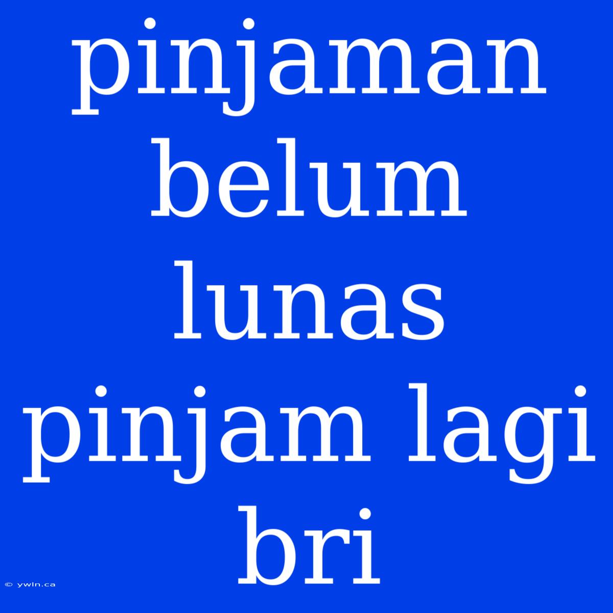 Pinjaman Belum Lunas Pinjam Lagi Bri