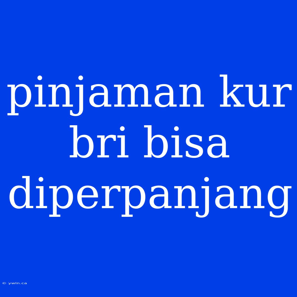 Pinjaman Kur Bri Bisa Diperpanjang