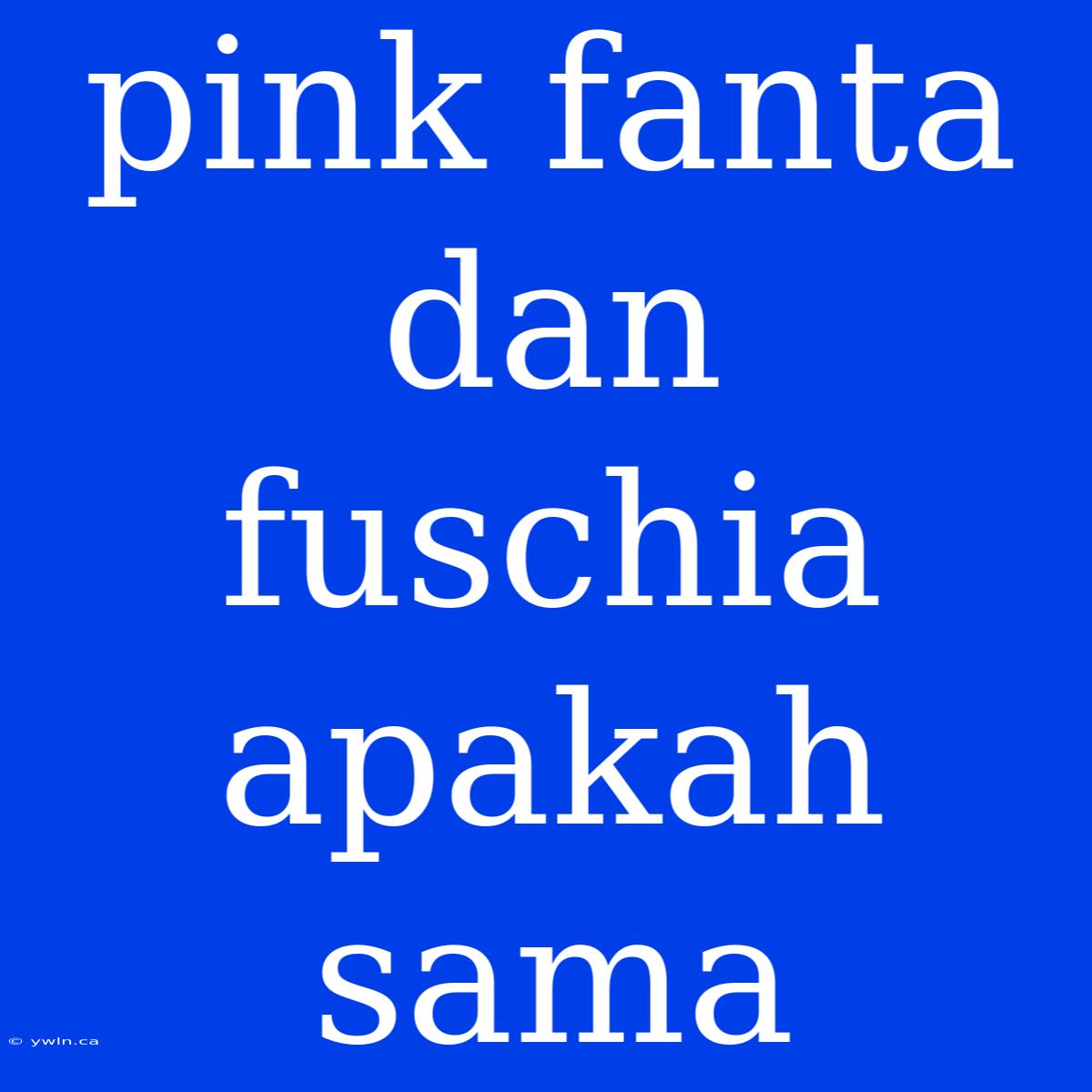 Pink Fanta Dan Fuschia Apakah Sama