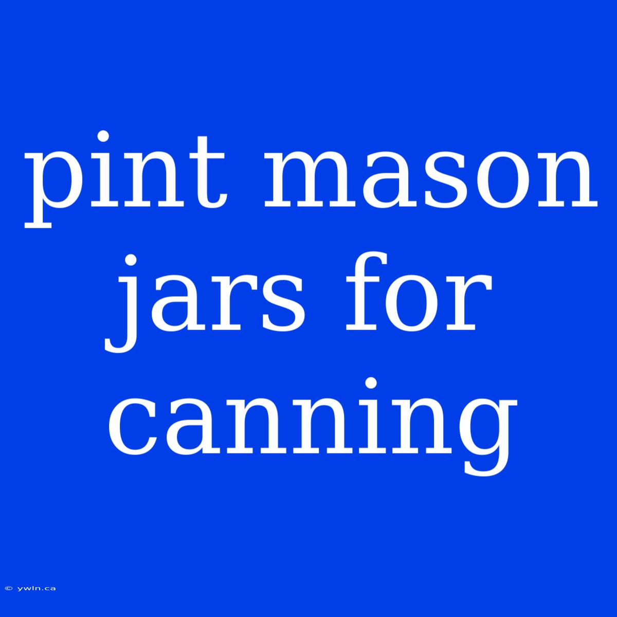 Pint Mason Jars For Canning