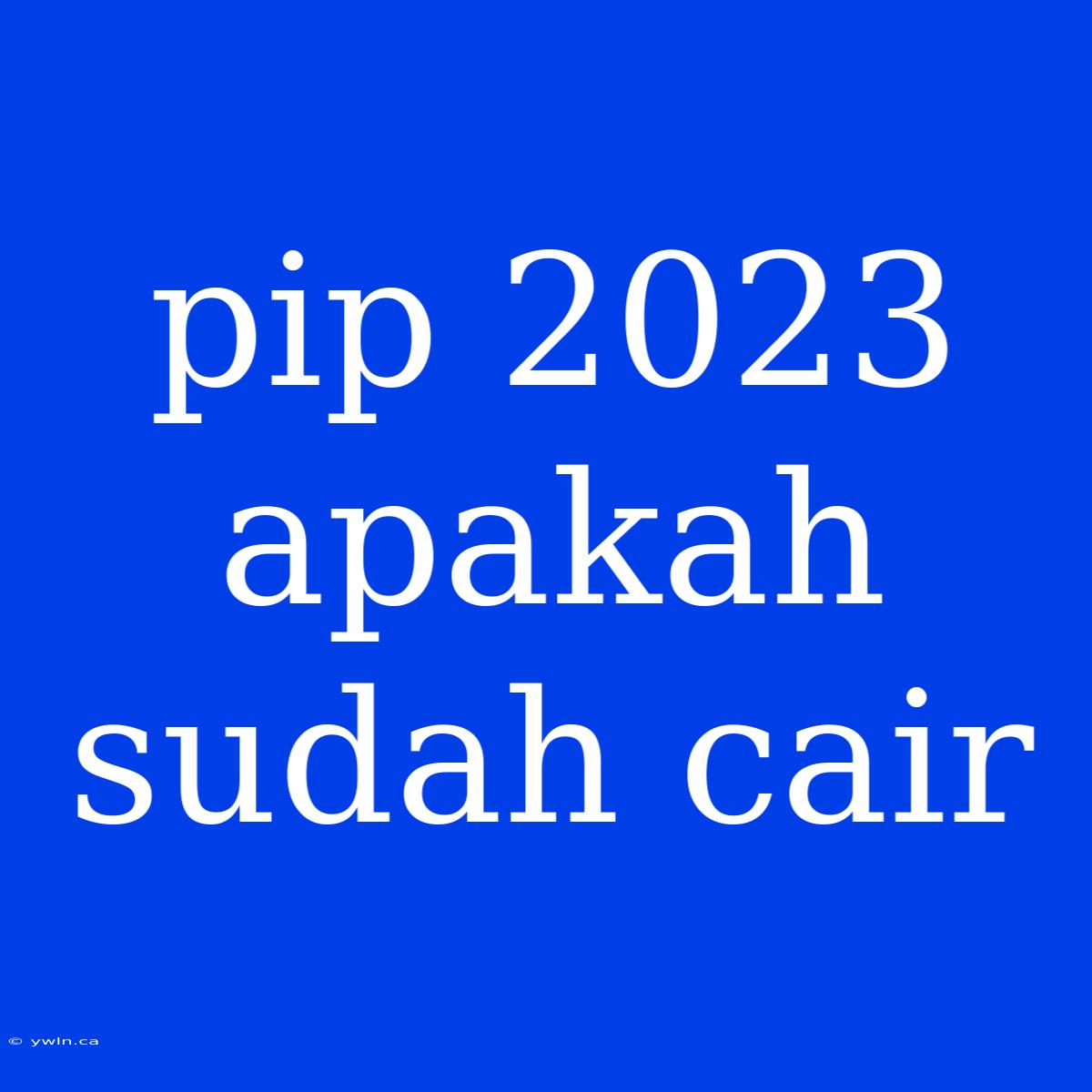 Pip 2023 Apakah Sudah Cair