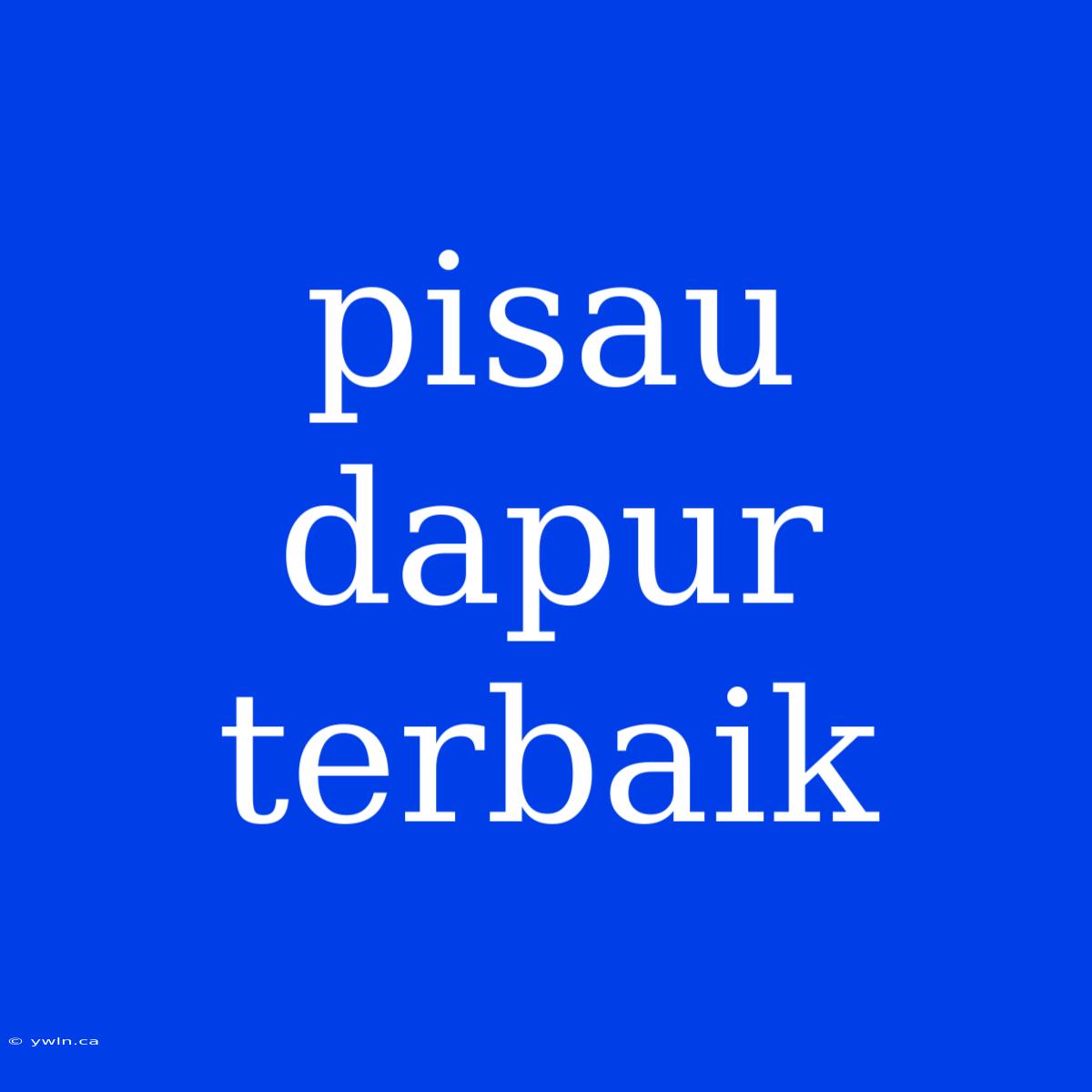 Pisau Dapur Terbaik