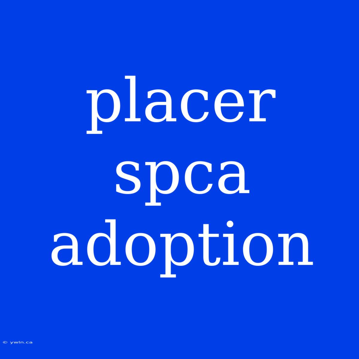 Placer Spca Adoption