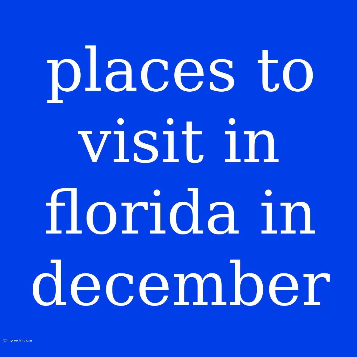 Places To Visit In Florida In December