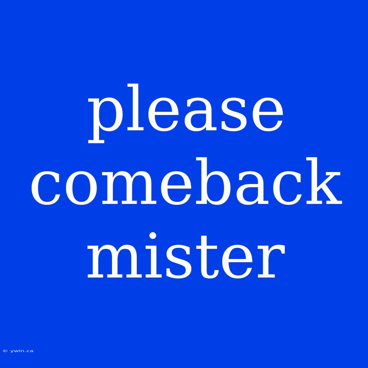 Please Comeback Mister