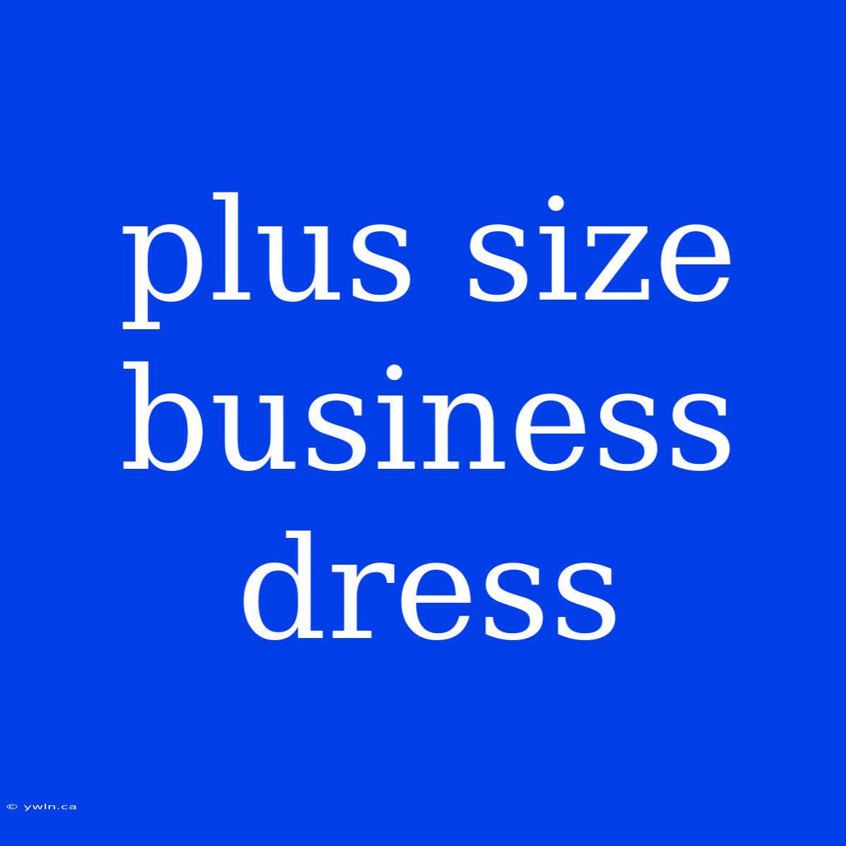 Plus Size Business Dress