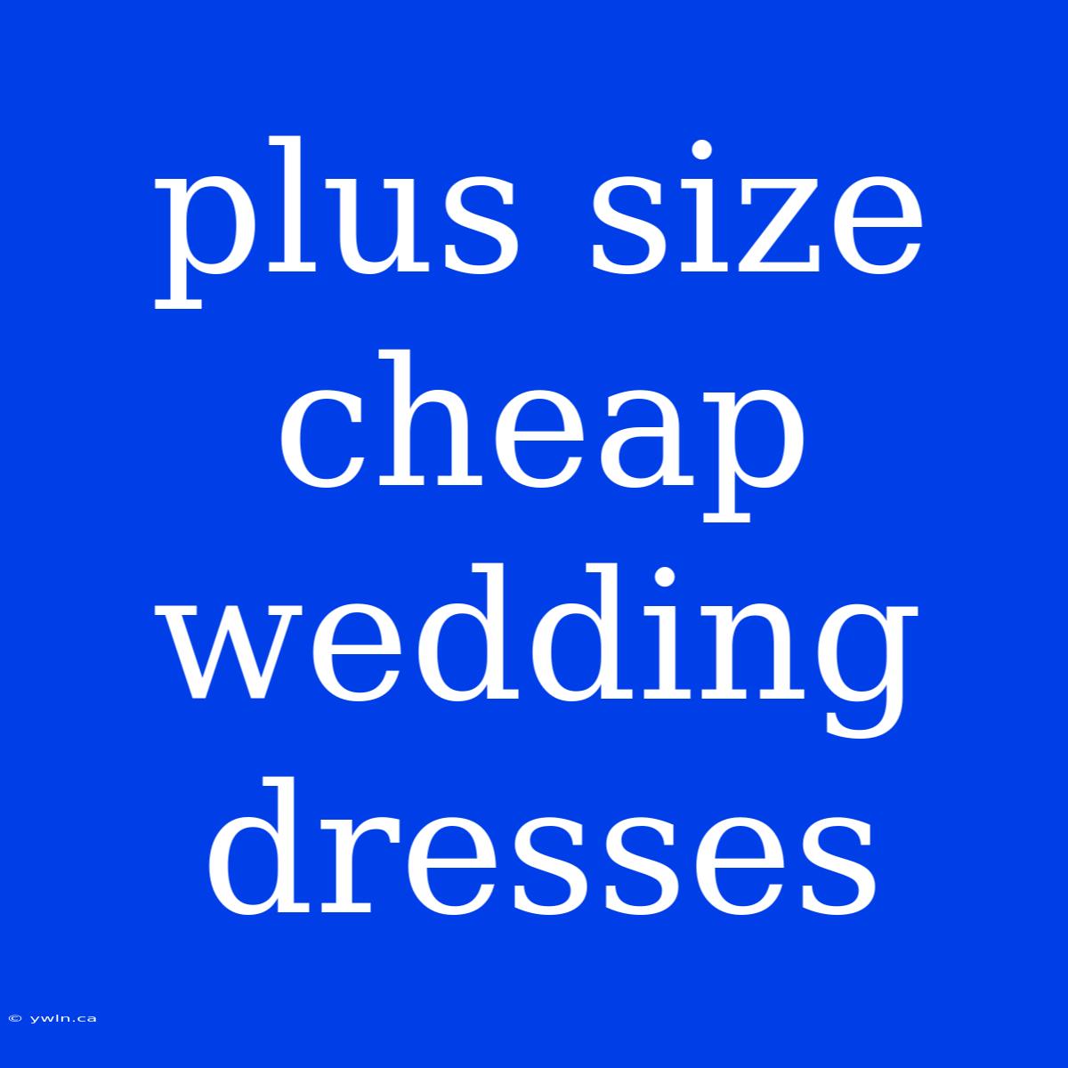 Plus Size Cheap Wedding Dresses