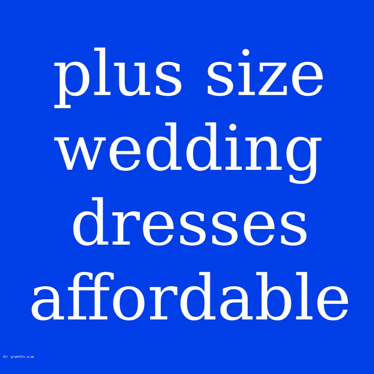 Plus Size Wedding Dresses Affordable