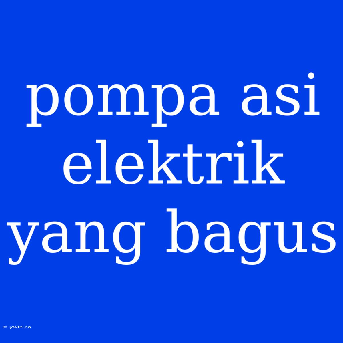 Pompa Asi Elektrik Yang Bagus