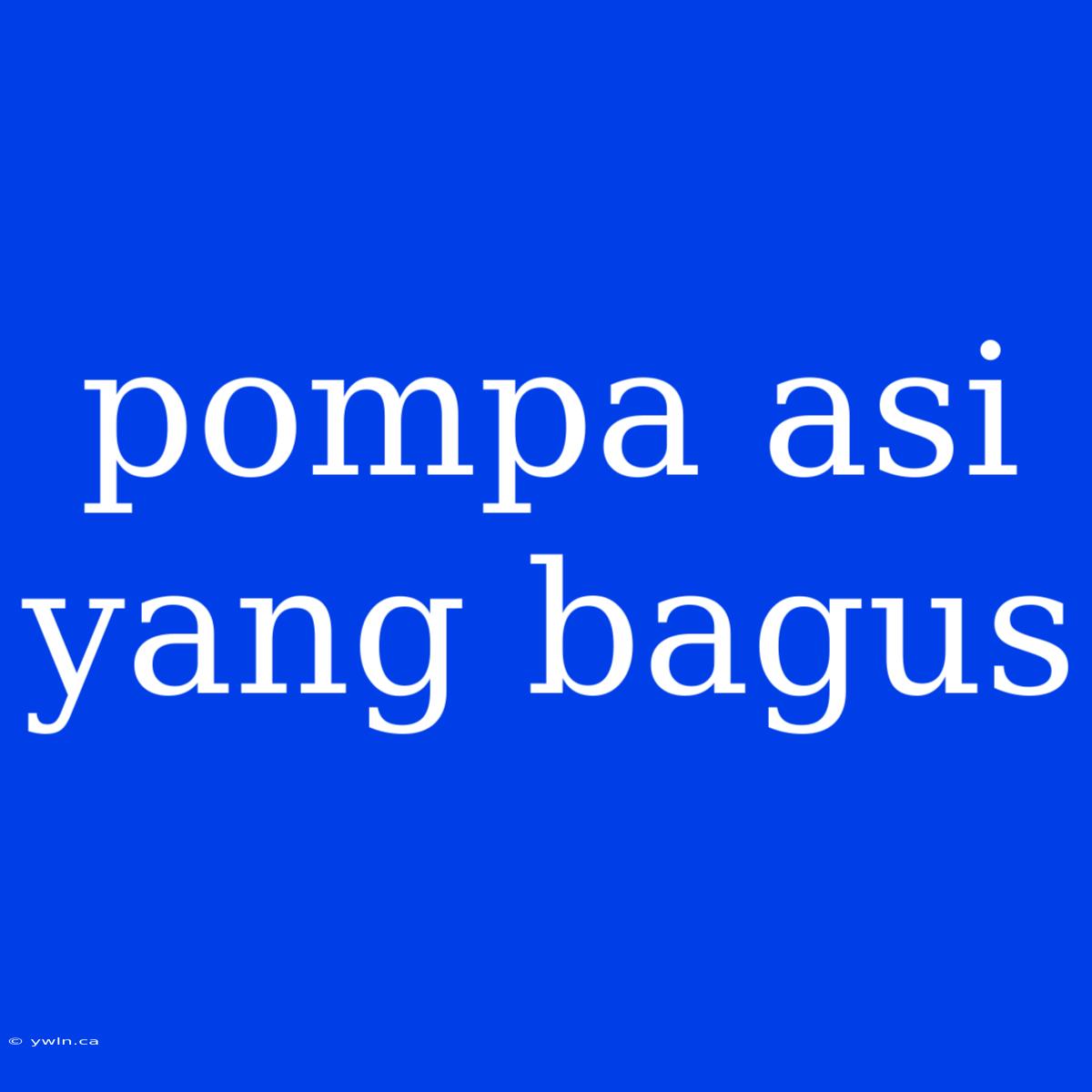 Pompa Asi Yang Bagus