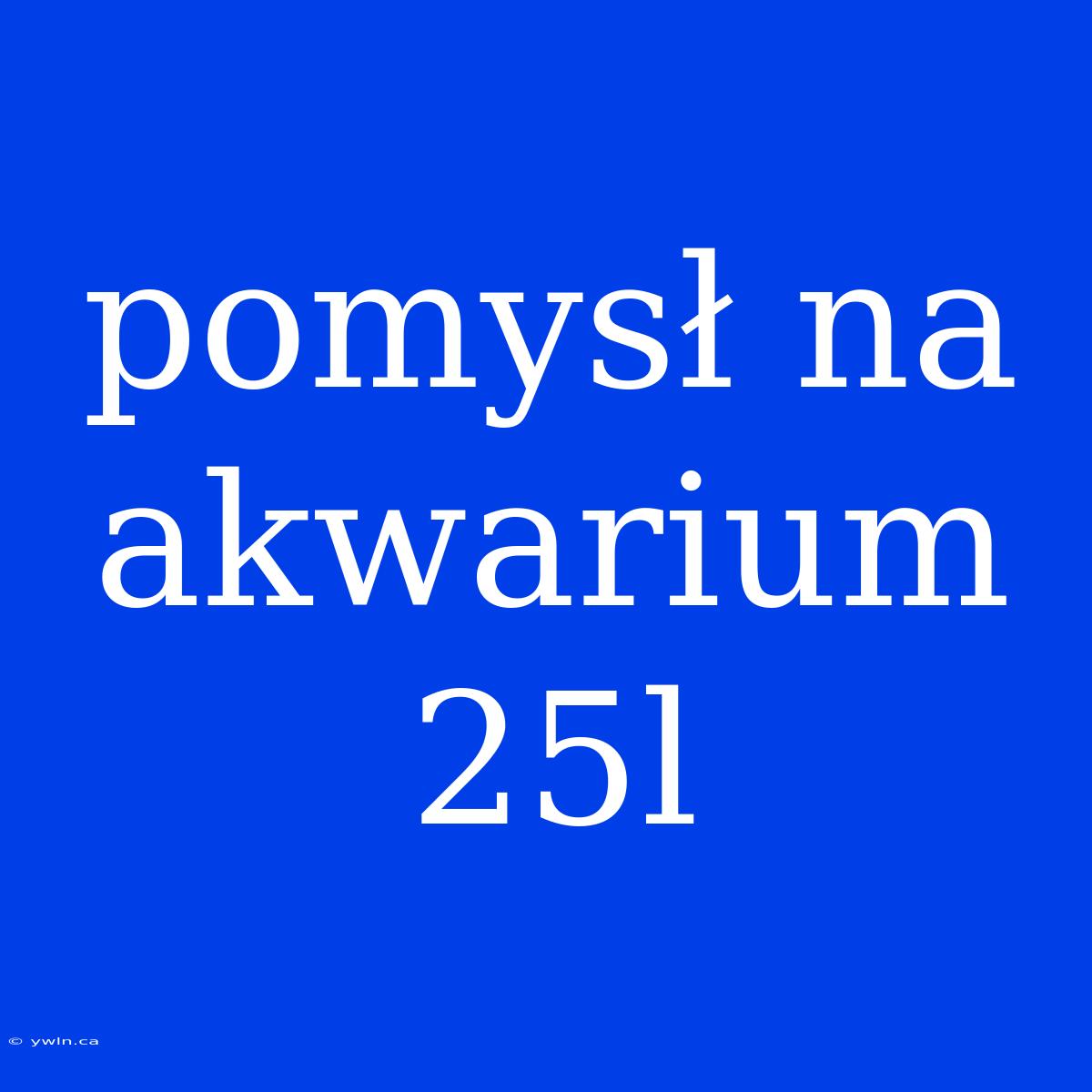 Pomysł Na Akwarium 25l