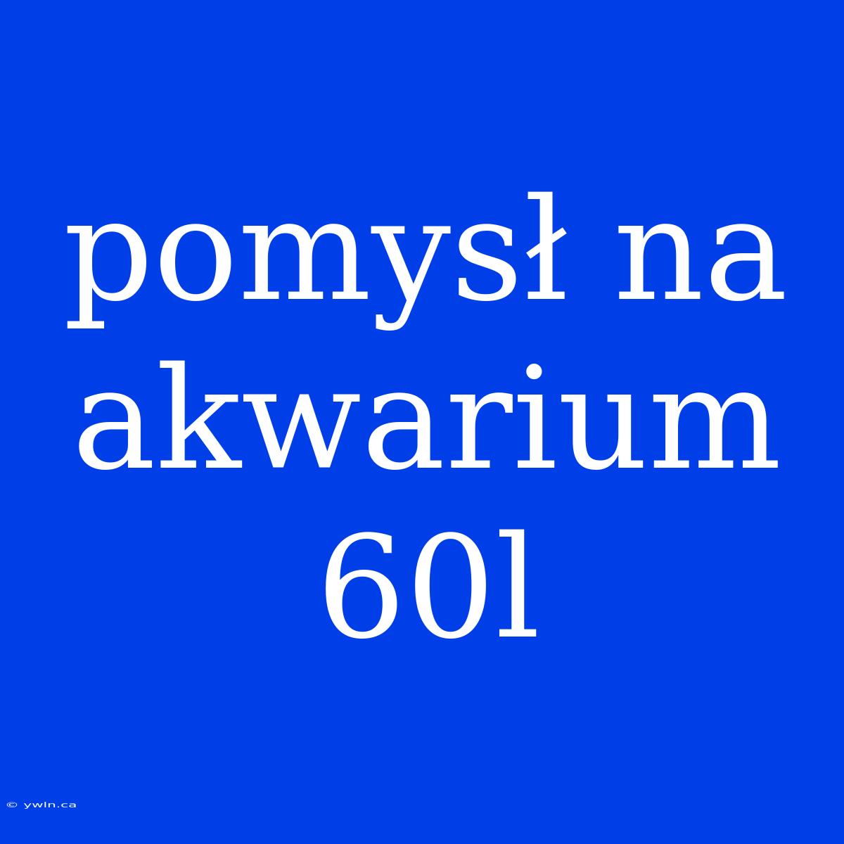 Pomysł Na Akwarium 60l