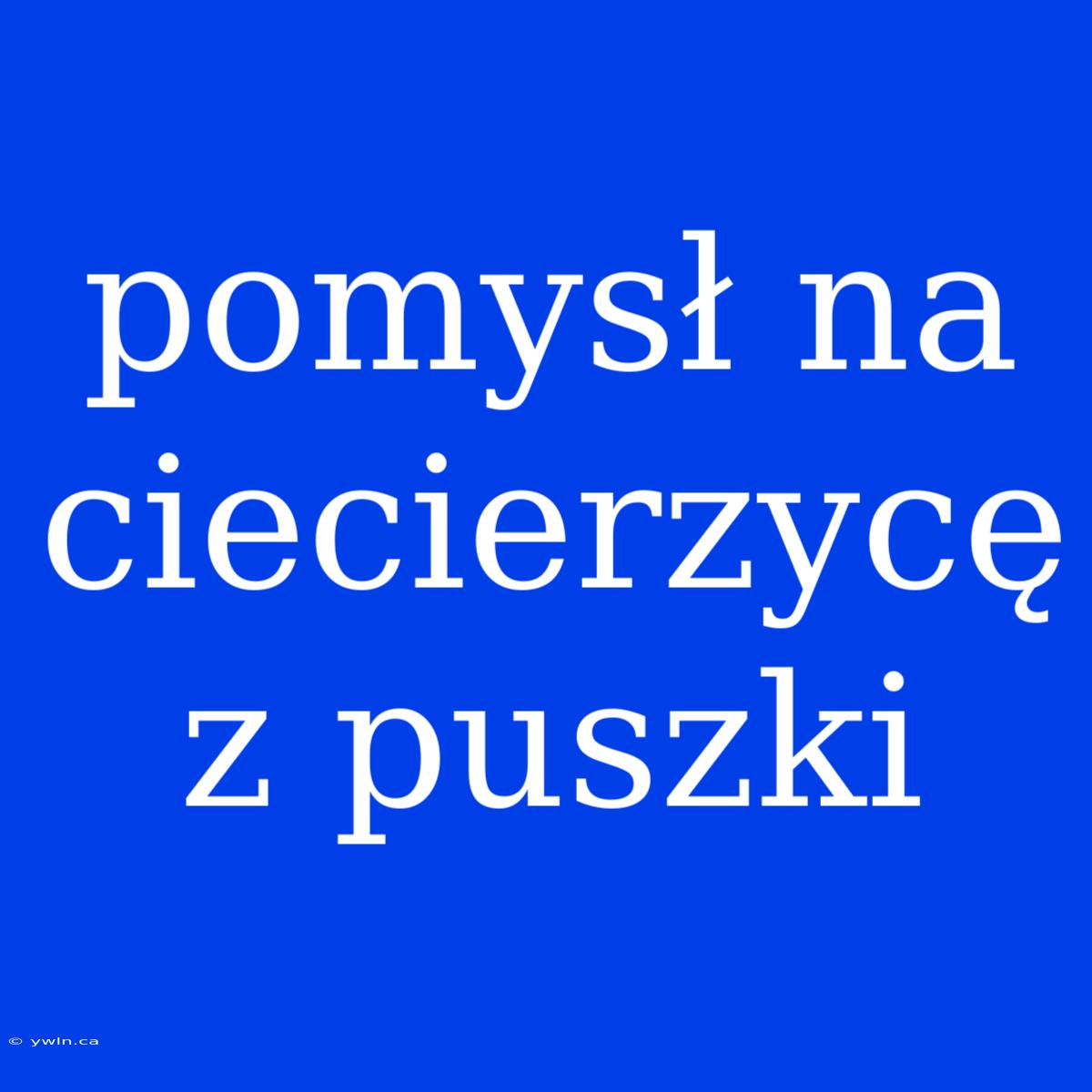 Pomysł Na Ciecierzycę Z Puszki