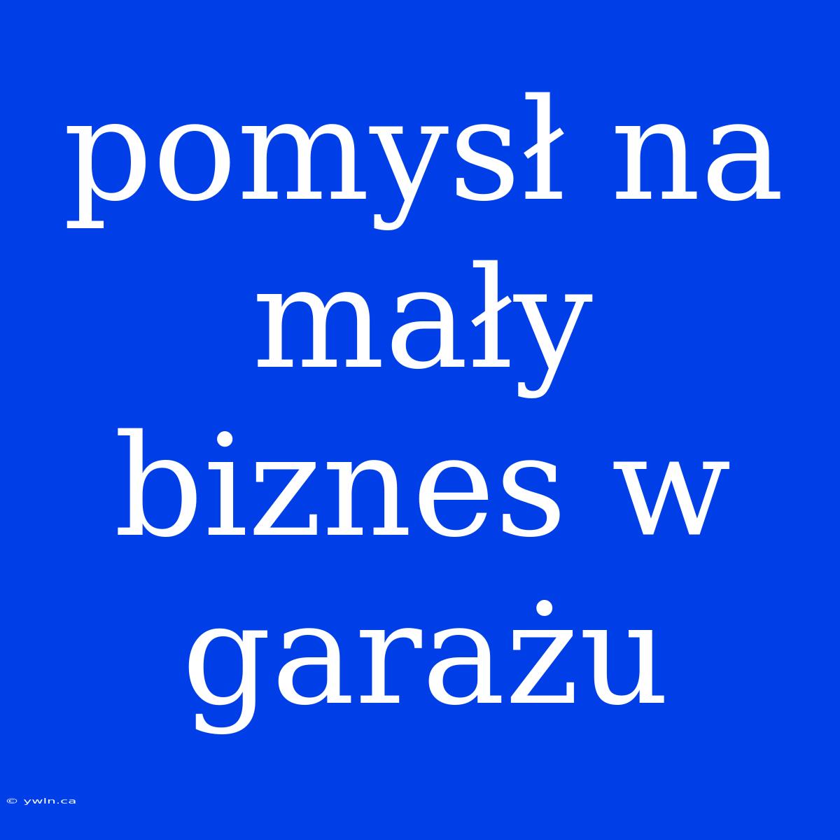 Pomysł Na Mały Biznes W Garażu