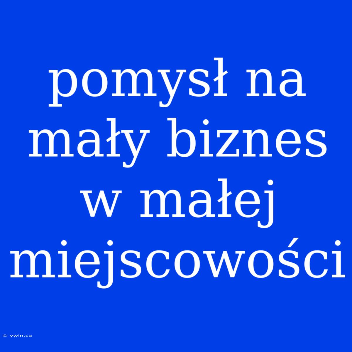 Pomysł Na Mały Biznes W Małej Miejscowości