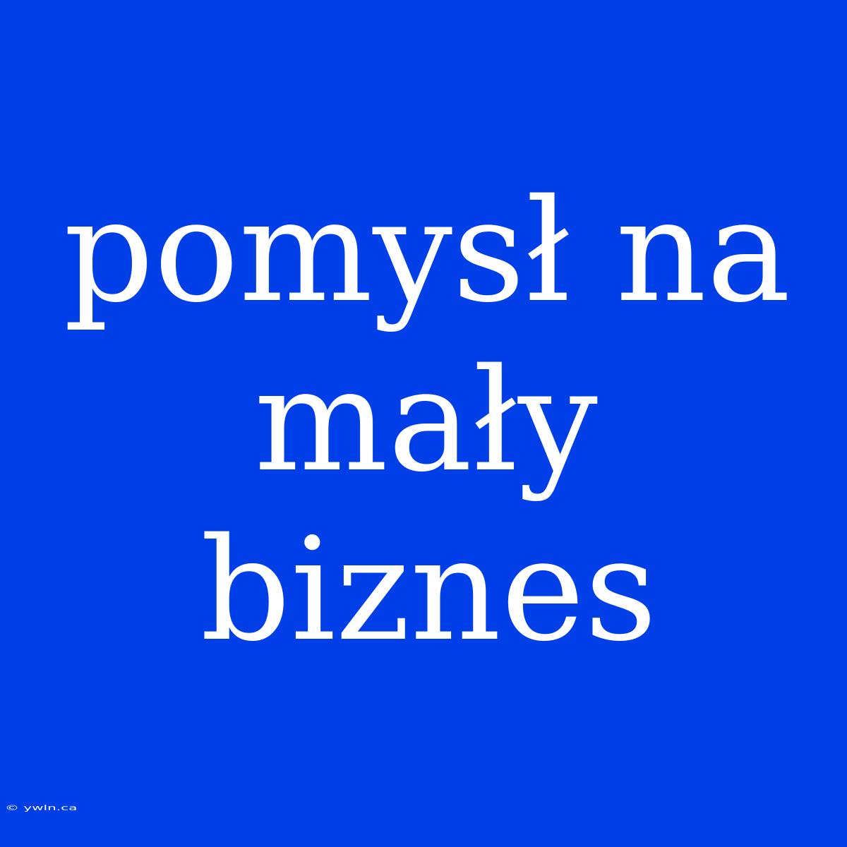 Pomysł Na Mały Biznes